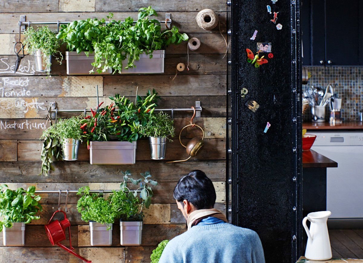 Kitchen Garden